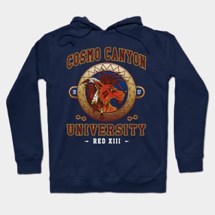 Cosmo Canyon University - Video Game Hoodie